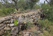 Rural estate for sale in l'Ampolla ref: TR409052 photo