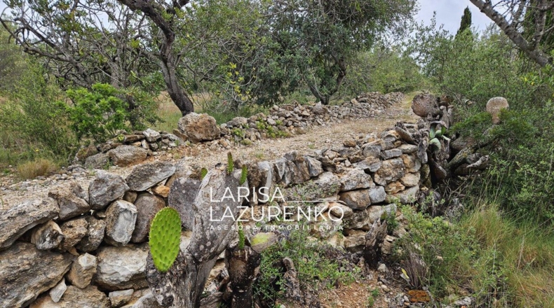 Tarragona - l'Ampolla - 7837m2