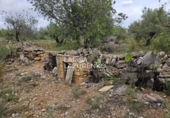 Rural estate for sale in l'Ampolla ref: TR409052 photo