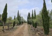 Rural estate for sale in l'Ampolla ref: TR409052 photo