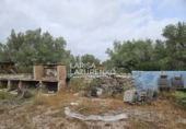 Rural estate for sale in l'Ampolla ref: TR409052 photo