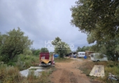 Rural estate for sale in l'Ampolla ref: TR409052 photo