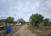 Rural estate for sale in l'Ampolla ref: TR409052 photo
