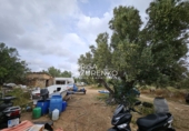 Rural estate for sale in l'Ampolla ref: TR409052 photo