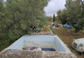 Rural estate for sale in l'Ampolla ref: TR409052 photo