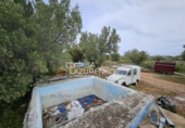 Rural estate for sale in l'Ampolla ref: TR409052 photo
