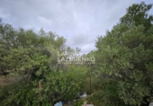 Rural estate for sale in l'Ampolla ref: TR409052 photo