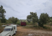 Rural estate for sale in l'Ampolla ref: TR409052 photo