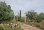 Rural estate for sale in l'Ampolla ref: TR409052 photo