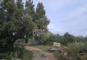 Rural estate for sale in l'Ampolla ref: TR409052 photo
