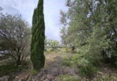 Rural estate for sale in l'Ampolla ref: TR409052 photo