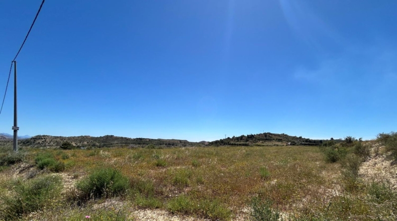 Alicante - Villena - 32382m2