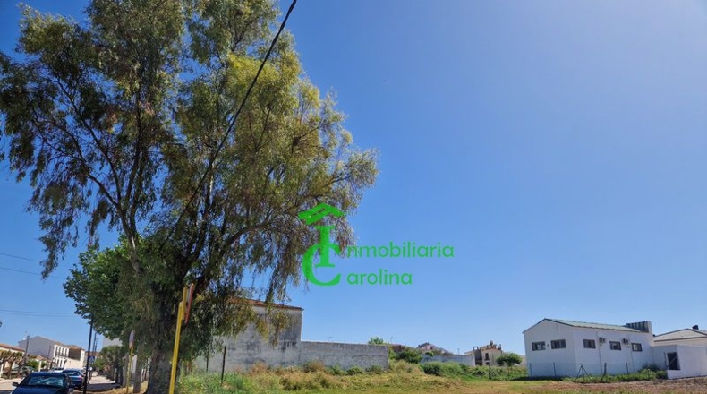 Jaén - La Carolina - 355m2