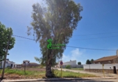 Urban land for sale in La Carolina ref: TR409076 photo