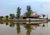 Villa con terreno en venta en la España, Deltebre, ref: TR350106 foto