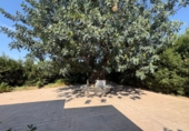 Chalet independiente con terreno en venta en Torrent ref: TR409075 foto