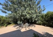 Chalet independiente con terreno en venta en Torrent ref: TR409075 foto
