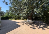 Chalet independiente con terreno en venta en Torrent ref: TR409075 foto