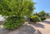 Chalet independiente con terreno en venta en Torrent ref: TR409075 foto