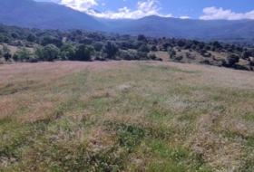 Casas del Monte 58000&nbsp;m²
