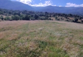 Finca rústica en venta en Casas del Monte ref: TR360625 foto