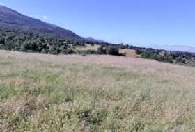 Casas del Monte 58000&nbsp;m²