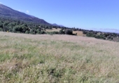 Finca rústica en venta en Casas del Monte ref: TR360625 foto