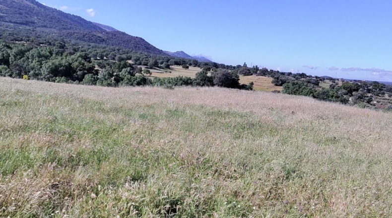 Касерес - Casas del Monte - 58000m2