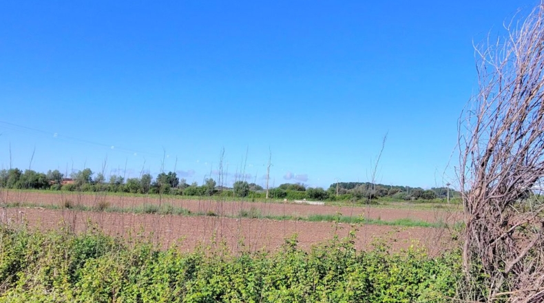 Cáceres - La Granja - 52410m2