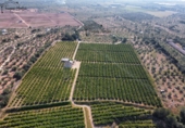 Finca rústica en venda a Camarles ref.: TR409083 foto