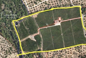 Camarles 63354&nbsp;м²