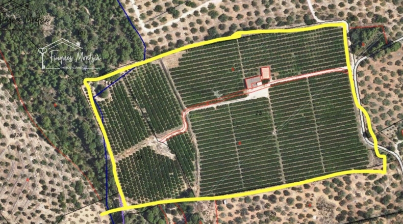 Tarragona - Camarles - 63354m2