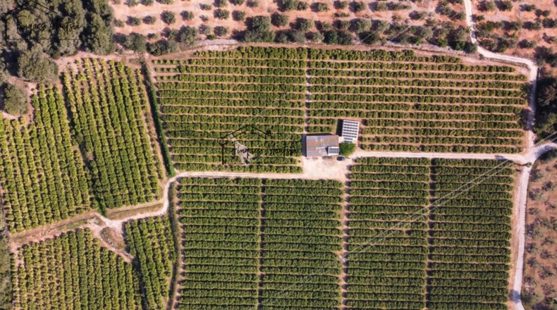Tarragona - Camarles - 63354m2