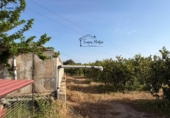 Finca rústica en venda a Camarles ref.: TR409083 foto