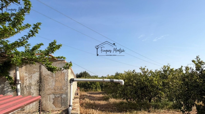 Tarragona - Camarles - 63354m2