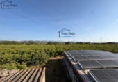 Finca rústica en venda a Camarles ref.: TR409083 foto