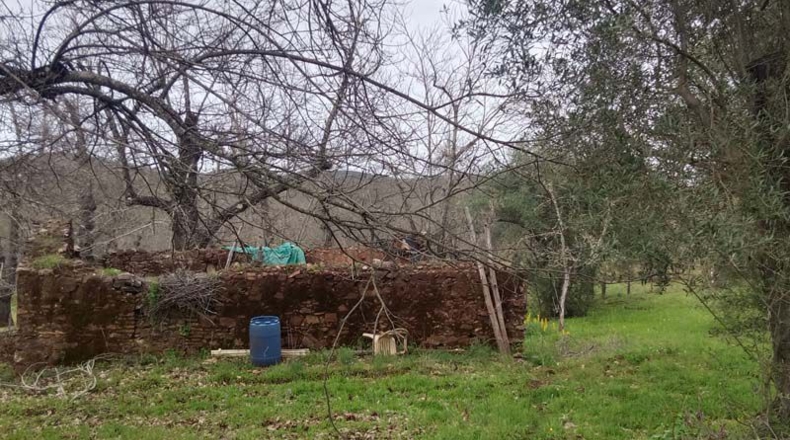 Huelva - Aracena - 12800m2