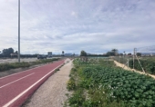 Terreno no urbanizable en venta en la España, Novelda, ref: TR409094 foto