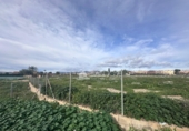 Terreno no urbanizable en venta en la España, Novelda, ref: TR409094 foto