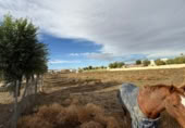 Sòl urbà en venda a la Camino de Toledo, Magán, ref.: TR409099 foto