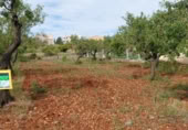 Sòl urbà en venda a la San Pedro nº 28, Santa Magdalena de Polpís, ref.: TR409098 foto