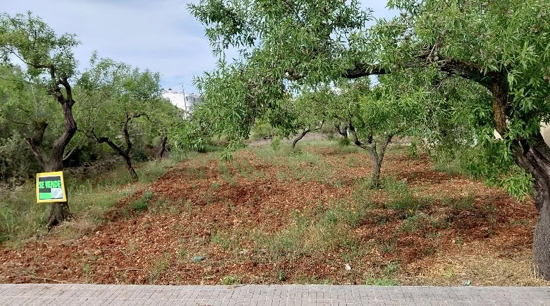 Castellón - Santa Magdalena de Pulpis - 703m2