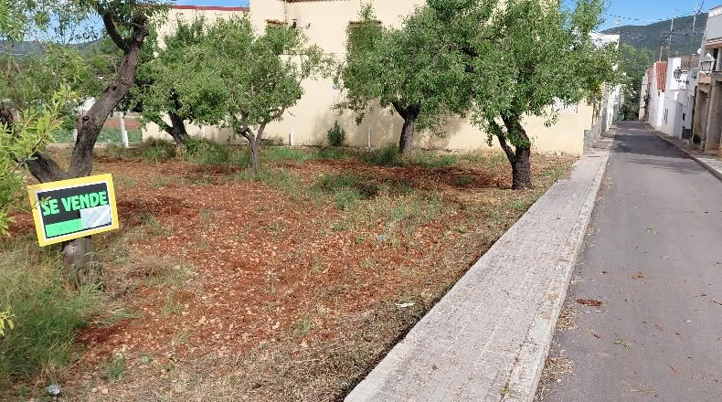 Castellón - Santa Magdalena de Pulpis - 703m2