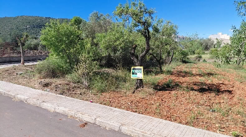 Castellón - Santa Magdalena de Pulpis - 703m2