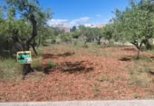 Sòl urbà en venda a la San Pedro nº 28, Santa Magdalena de Polpís, ref.: TR409098 foto