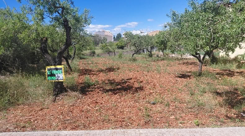 Castellón - Santa Magdalena de Pulpis - 703m2