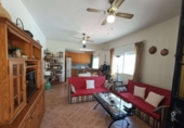 Village house for sale in Íllora ref: TR409136 photo