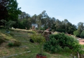 Rural estate for sale in Ponteareas ref: TR409145 photo