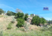 Rural estate for sale in Jerez de los Caballeros ref: TR377465 photo