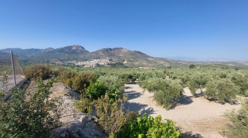 Jaén - Quesada - 57000m2